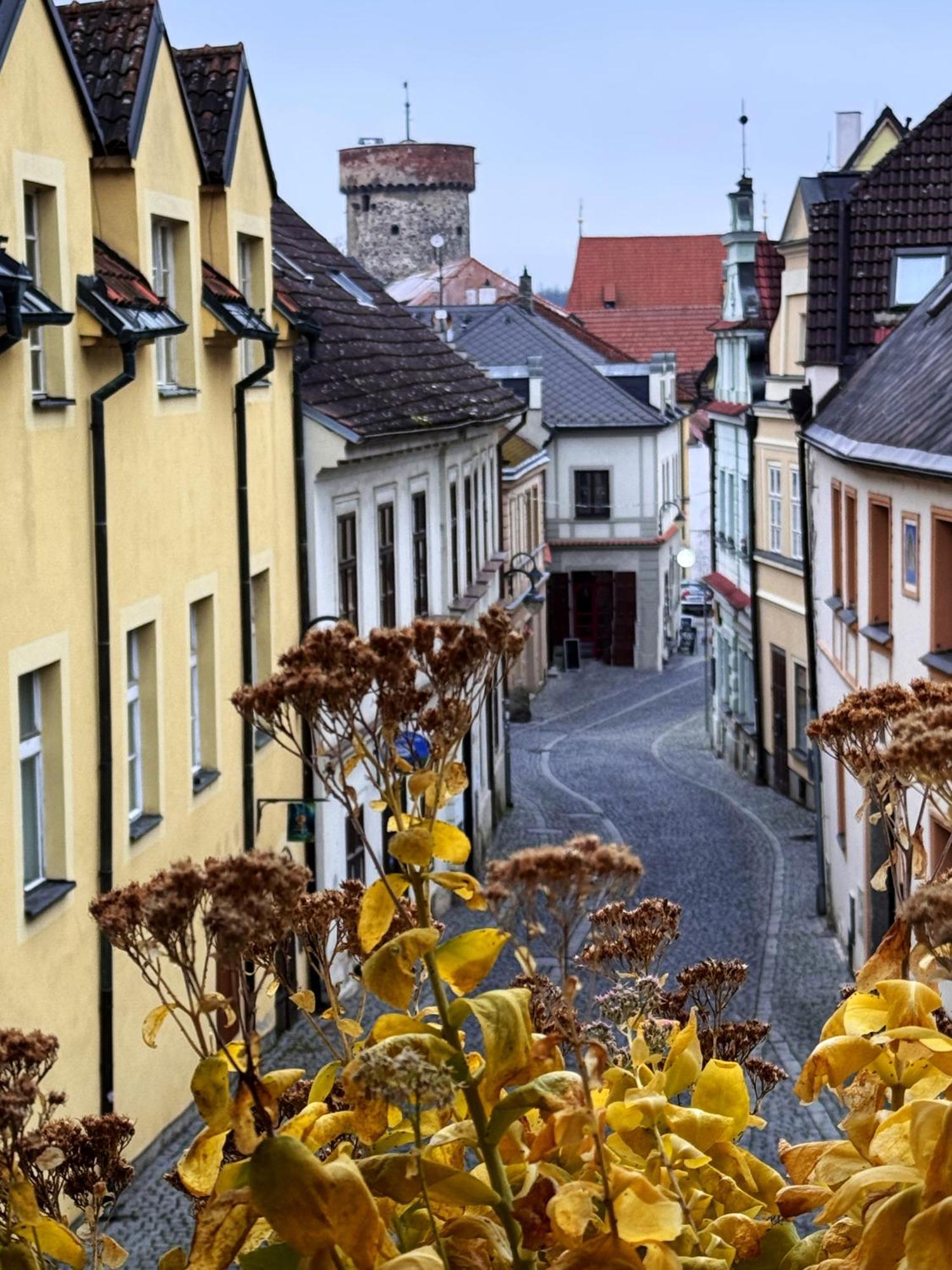 Pension Alfa & Whisky Pub Tábor Dış mekan fotoğraf